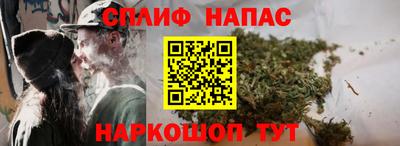 jwh Дубна