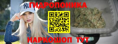 прущие грибы Донской